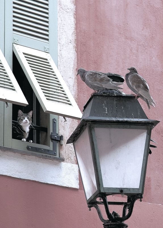 亚洲球队出战欧洲豪门：历史性胜负瞬间回顾，亚洲球员 欧冠