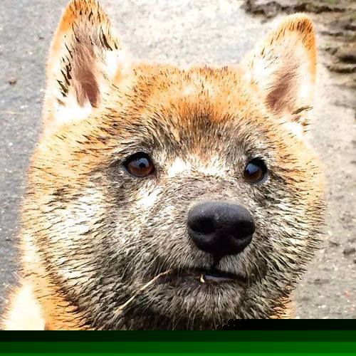 体育课课堂互动机制设计与学习成效提升分析,体育课堂模式的设计